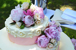 specialty cakes